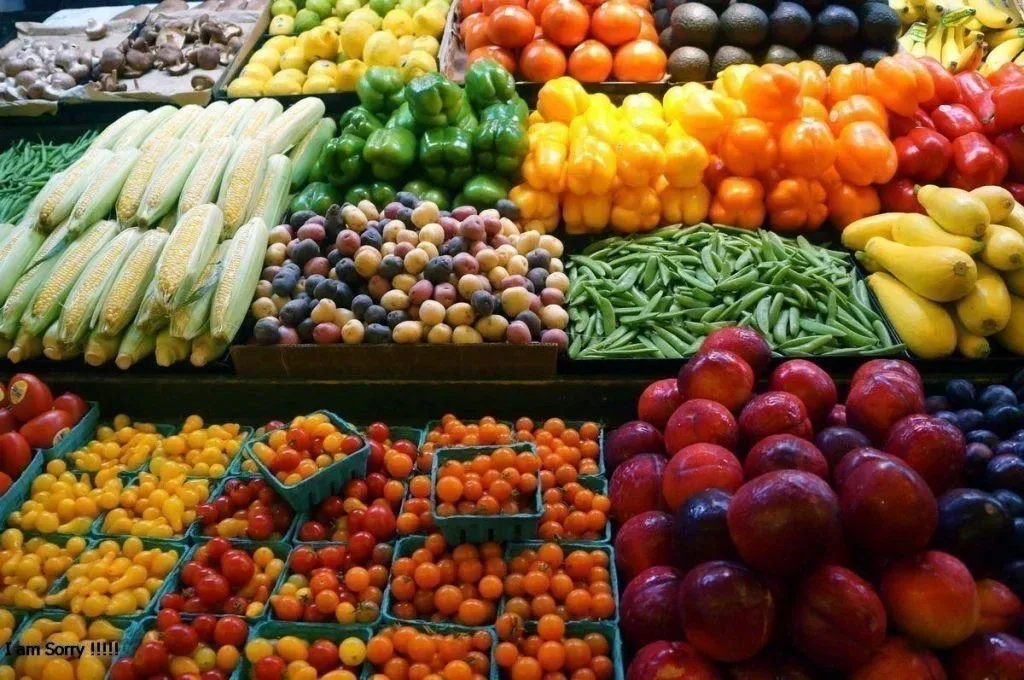 إحصائيات الصادرات السعودية الزراعية تصعد لأعلى مستوياتها في 2023