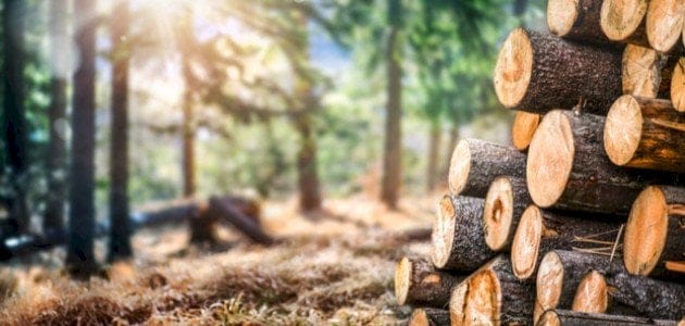 أفضل 10 دول فى قهوة الموارد الطبيعية فى العالم 2025